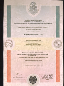 Cópia do certificado de pós-doutorado obtido pelo Prof. Dr. Marcelo M. Leão 