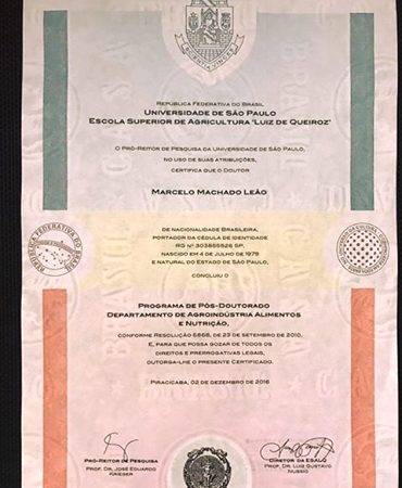 Cópia do certificado de pós-doutorado obtido pelo Prof. Dr. Marcelo M. Leão
